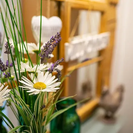 Gaestehaus Aemisegg Sankt Peterzell