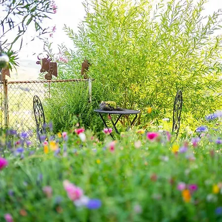 Gaestehaus Aemisegg Bed & Breakfast Sankt Peterzell