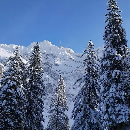 Frühstückspension Gaestehaus Aemisegg *