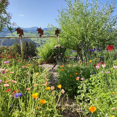 Gaestehaus Aemisegg * Sankt Peterzell