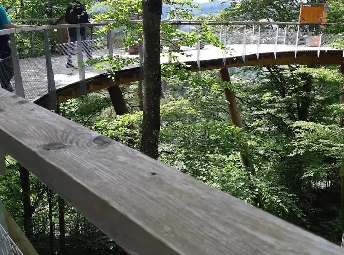 Gaestehaus Aemisegg * Sankt Peterzell