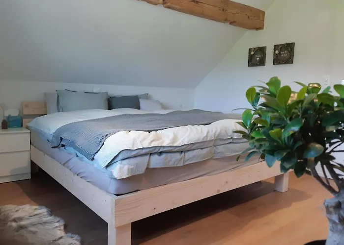 فندق مبيت وإفطار Gaestehaus Aemisegg Sankt Peterzell