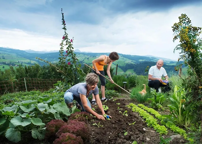 Gaestehaus Aemisegg Sankt Peterzell