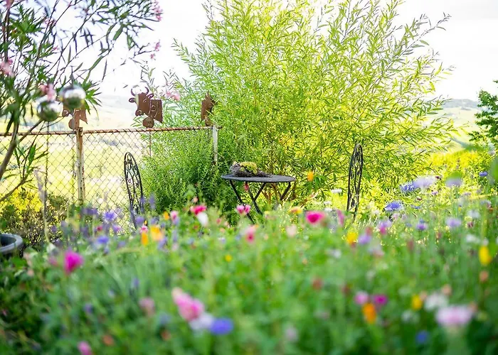 Gaestehaus Aemisegg Bed and Breakfast Sankt Peterzell