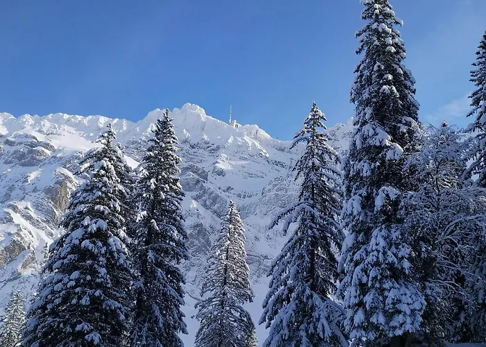 Bed and Breakfast Gaestehaus Aemisegg *