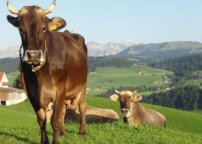 Gaestehaus Aemisegg Bed and Breakfast *