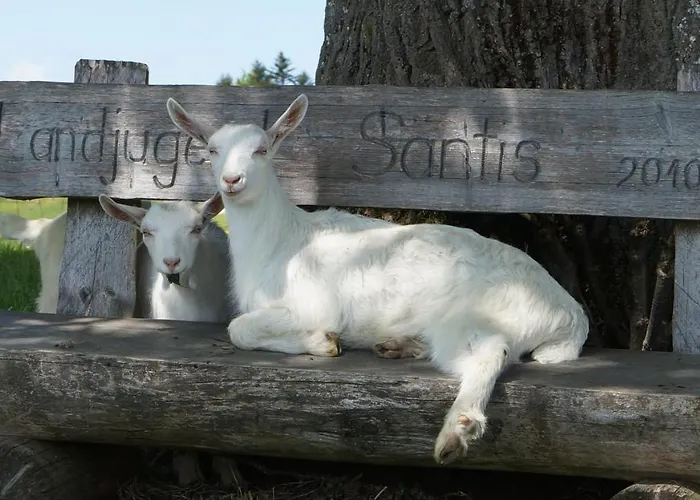 Gaestehaus Aemisegg Panzió
