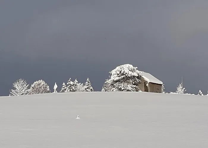 Panzió Gaestehaus Aemisegg Sankt Peterzell