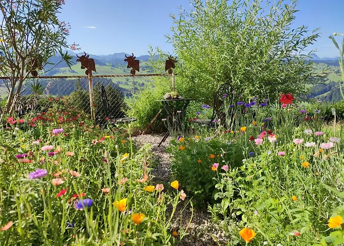 Gaestehaus Aemisegg * Sankt Peterzell