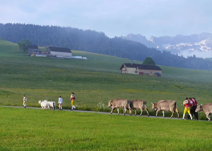 Gaestehaus Aemisegg *